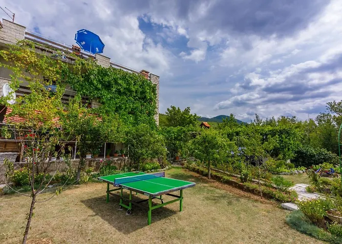 Apartment Ledy